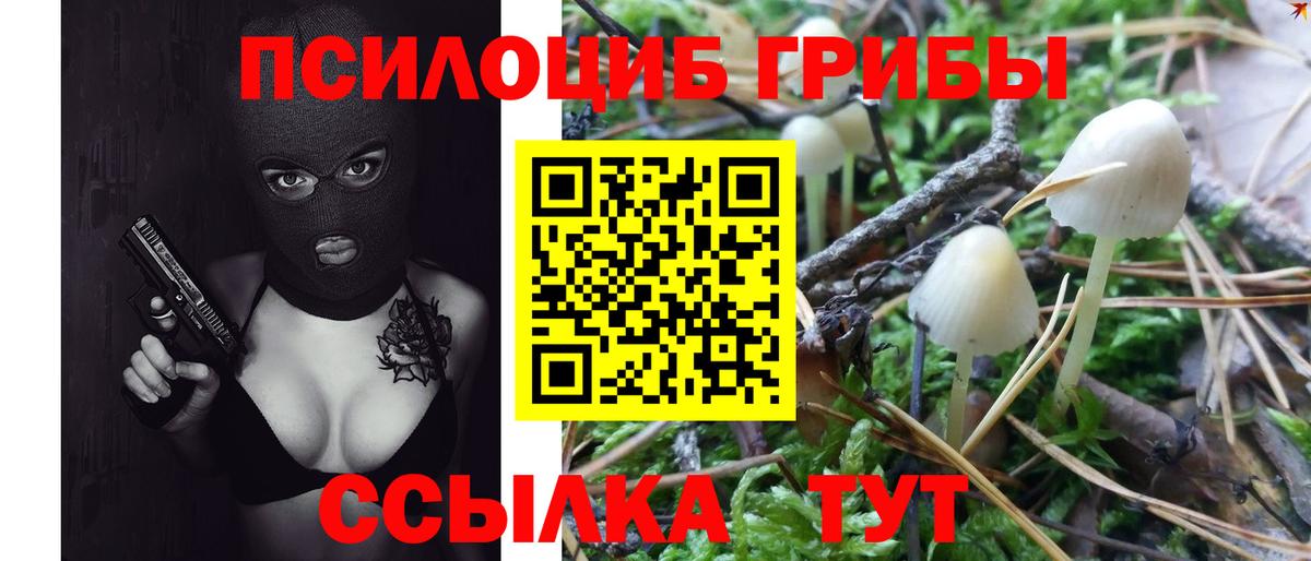 Галлюциногенные грибы MAGIC MUSHROOMS  Вход с VPN  Азнакаево 